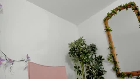   online show from 10/14/25, 12:00