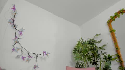   online show from 02/01/26, 12:53