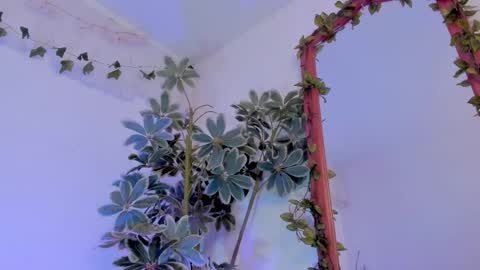   online show from 03/19/26, 12:25