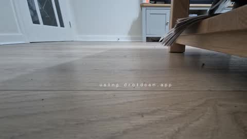 bonny8723 online show from 01/13/26, 06:57