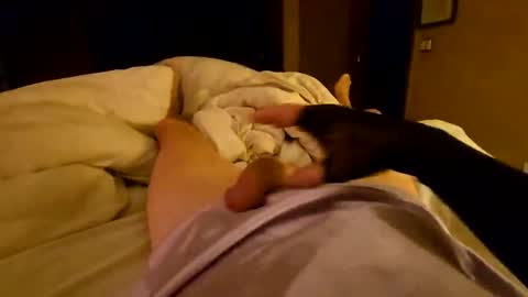 silky sissy sarah online show from 04/06/26, 10:05