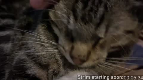 Booker Baxton online show from 12/11/24, 04:07