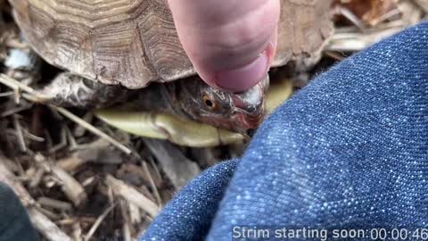 Booker Baxton online show from 12/21/24, 04:09