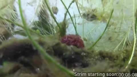 Booker Baxton online show from 12/29/24, 04:05