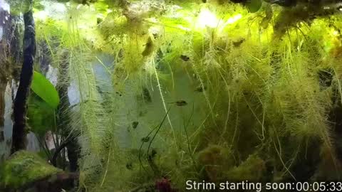 Booker Baxton online show from 02/04/25, 04:05