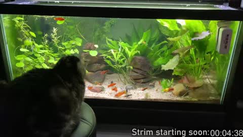 Booker Baxton online show from 02/09/25, 04:04