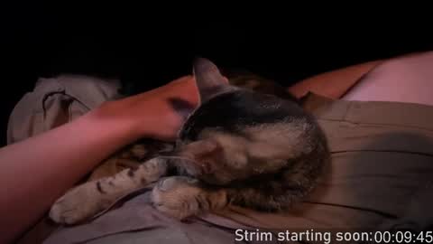 Booker Baxton online show from 09/28/25, 03:01