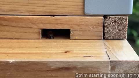 Booker Baxton online show from 10/22/25, 02:56