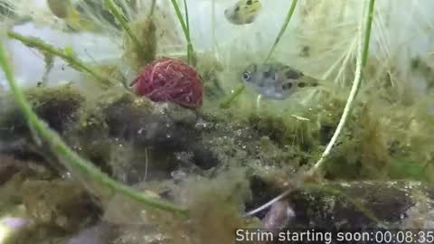 Booker Baxton online show from 11/06/25, 04:02