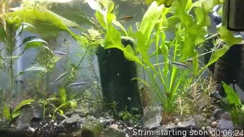 Booker Baxton online show from 11/09/25, 04:00