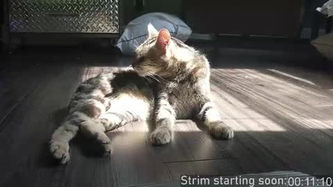 Booker Baxton online show from 12/02/25, 03:56