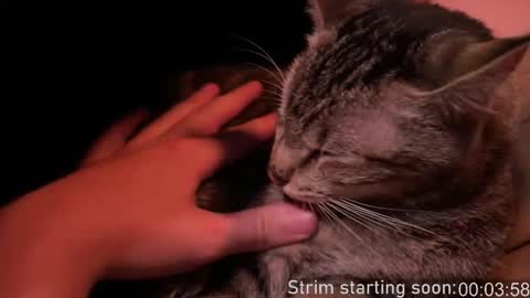 Booker Baxton online show from 02/12/26, 04:07