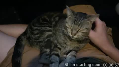 Booker Baxton online show from 04/14/26, 03:01