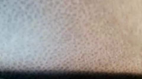 Boolika online show from 03/11/25, 10:53