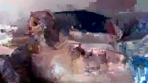 boomer64814390 online show from 07/12/26, 07:32