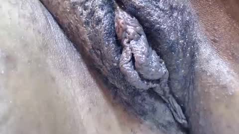 bootybounce4 online show from 12/09/24, 12:34