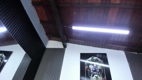   online show from 02/03/26, 06:40