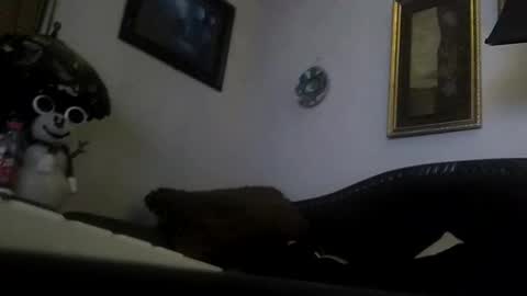 Snapshot of boredaf6678 chatting on 12/23/24, 09:05 boredaf6678 online show from 12/23/24, 09:05