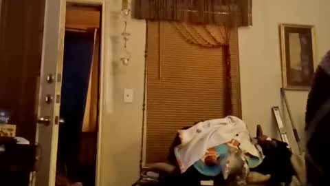 Snapshot of boredaf6678 chatting on 11/22/25, 11:59 boredaf6678 online show from 11/22/25, 11:59