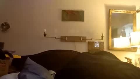 boredaf6678 online show from 12/16/25, 01:10