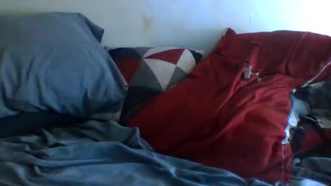 Snapshot of bossdon59 chatting on 09/12/25, 03:56 bossdon59 online show from 09/12/25, 03:56