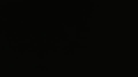 bossram160 online show from 02/05/25, 10:08