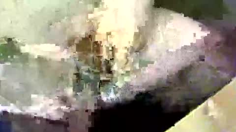 bossram160 online show from 09/17/25, 08:21