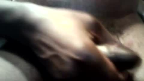 botofogo online show from 10/31/25, 03:46