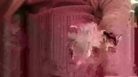 Snapshot of bowieboy91 chatting on 11/04/25, 12:37 bowieboy online show from 11/04/25, 12:37