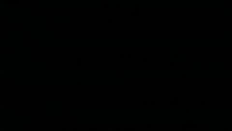 boxersnut1 online show from 02/17/26, 12:29