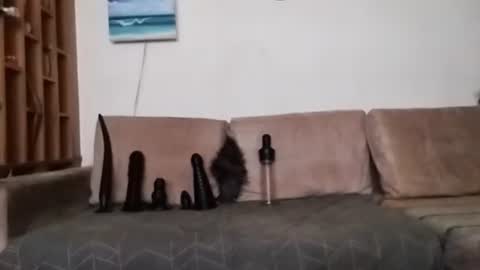 Bes7assquirt online show from 01/31/25, 07:29