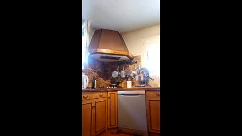 boyaroues online show from 05/29/26, 08:01