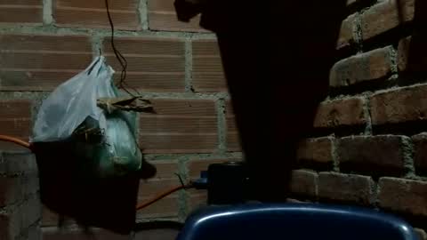 Boy online show from 10/07/25, 02:53