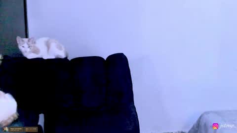 Snapshot of boylatin_777 chatting on 11/24/25, 03:06 miguel online show from 11/24/25, 03:06