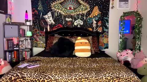 Puddin online show from 02/24/25, 05:54