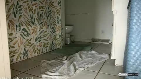 Snapshot of boysetsfire34 chatting on 02/18/26, 05:53 boysetsfire34 online show from 02/18/26, 05:53