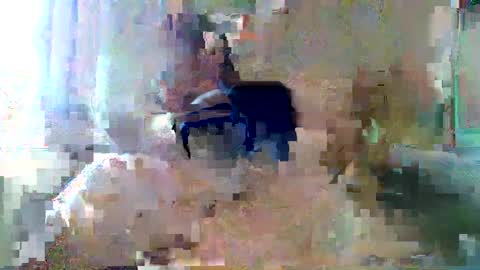 bpbww online show from 09/19/25, 04:40