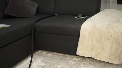 Brandi online show from 12/11/24, 09:01