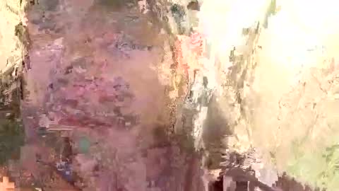 Brandon online show from 01/14/25, 11:53