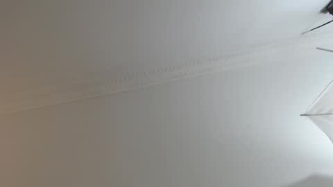 Snapshot of brandoncolee chatting on 02/10/25, 12:29 BrandonCole online show from 02/10/25, 12:29