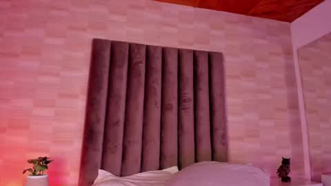   online show from 02/13/25, 08:06