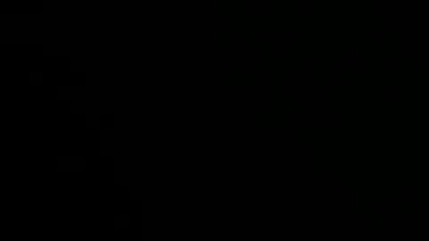 bravo323 online show from 12/20/24, 06:02