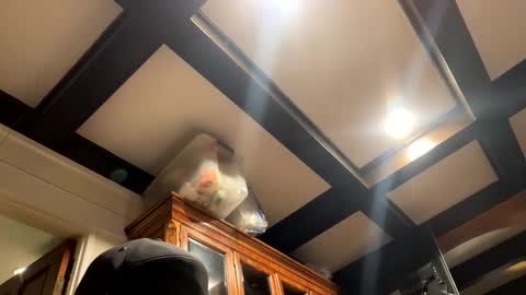 bravo323 online show from 10/02/25, 06:26