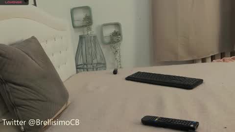 Snapshot of brell_line chatting on 02/17/25, 01:32 Brelland online show from 02/17/25, 01:32