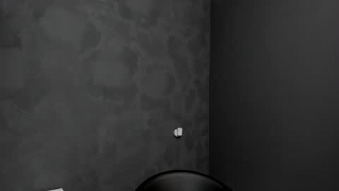 Snapshot of brianhunts chatting on 01/17/25, 09:06 Brian online show from 01/17/25, 09:06