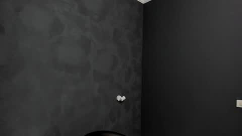 Snapshot of brianhunts chatting on 01/23/25, 05:45 Brian online show from 01/23/25, 05:45