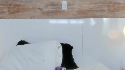 brianna_beltran online show from 04/12/26, 11:04