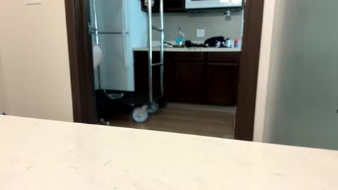 brickmeup online show from 04/08/26, 10:32