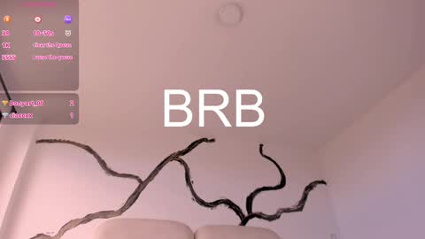 Snapshot of bridgetrodriguez chatting on 02/20/25, 06:13 online show from 02/20/25, 06:13