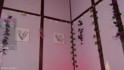 Brie  Ill be away November 2829 and 30. See u on Sunday for more fun online show from 01/04/25, 07:13